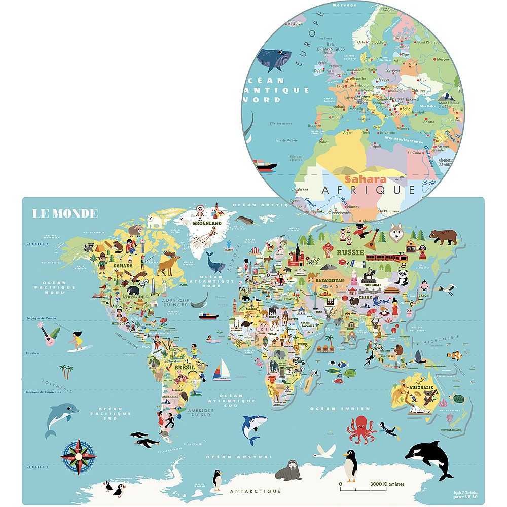 Carte du Monde magnétique Ingela P.Arrhenius